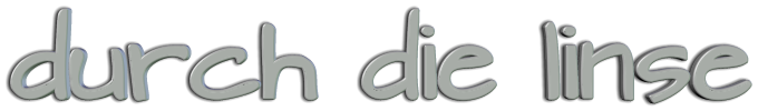 durch die linse